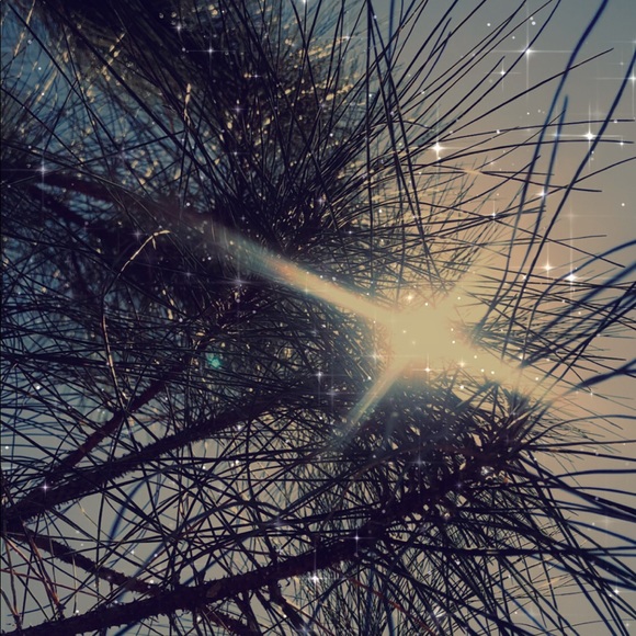 Meet your Posher, John - Picture 1 of 1